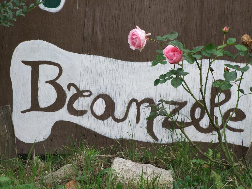 Casa Branzele Bed and Breakfast Trezzo Tinella Eksteriør billede