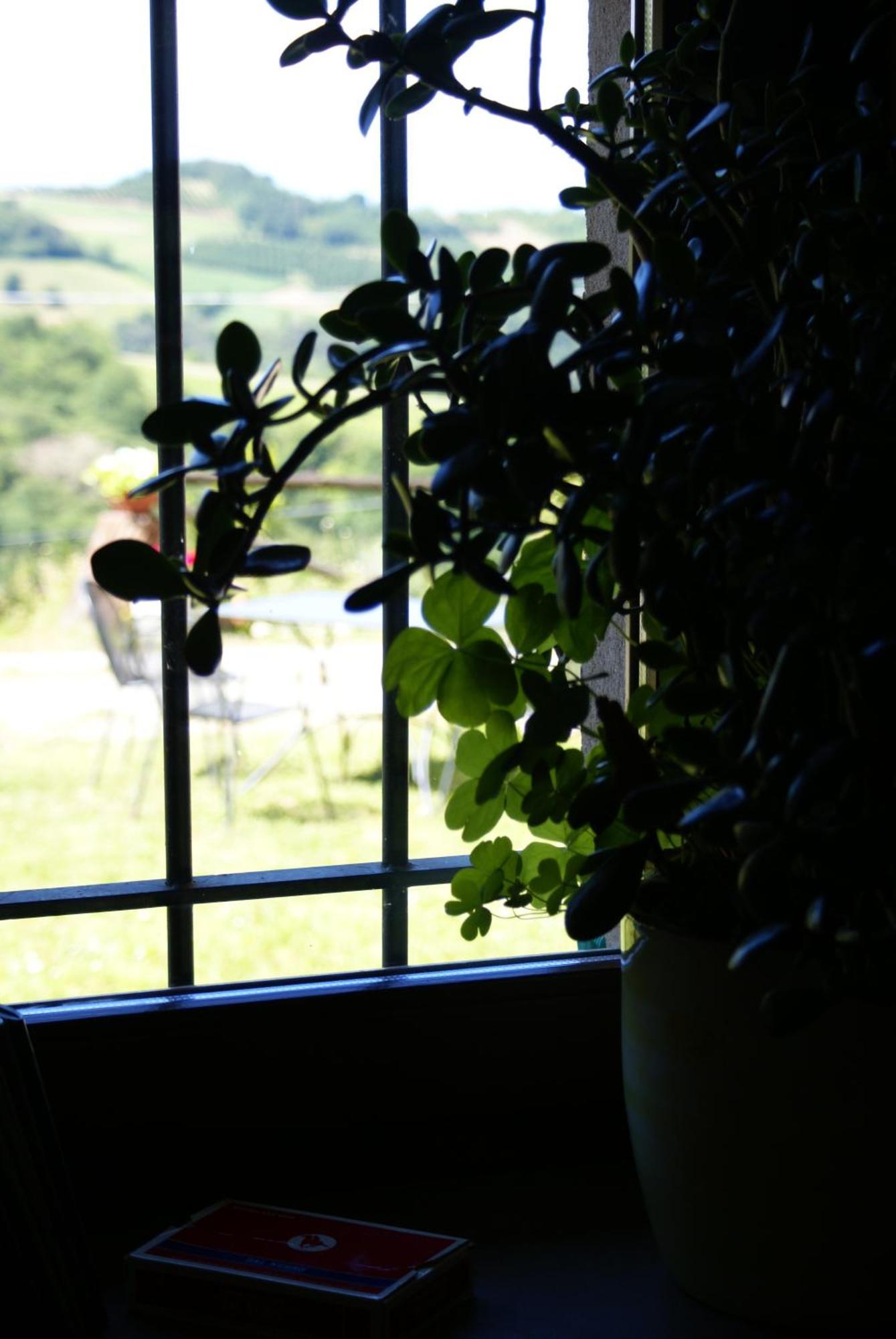 Casa Branzele Bed and Breakfast Trezzo Tinella Eksteriør billede