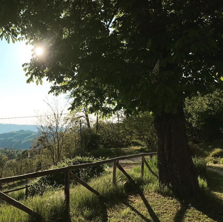 Casa Branzele Bed and Breakfast Trezzo Tinella Eksteriør billede